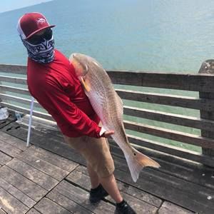 Meet your Posher, Manuel